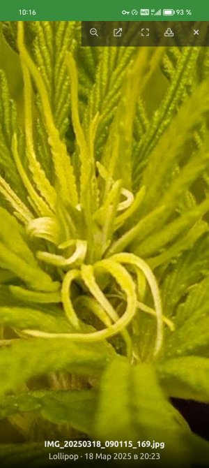 Screenshot_20250319_101618_ru_semena_sch_RootActivity.jpg