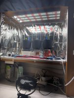 IMG_6020.jpeg
