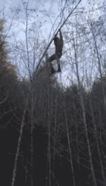 oh-fell.gif