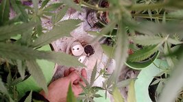 IMG_20251005_035430.jpg