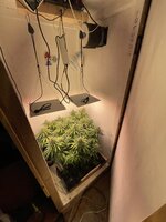 IMG_1208.jpeg