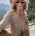 3a9618f402a325a803e55a47b1247905.gif