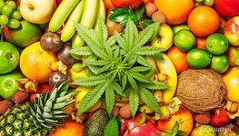 terpeny-konopli-chem-bolshe-tem-luchshe__PezLGjoA4JLSfZOV.jpg