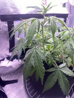 IMG_5112.jpeg