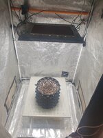 20260205_234626.jpg