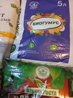 IMG_20260219_092203.jpg