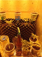 IMG_20260317_085446.jpg