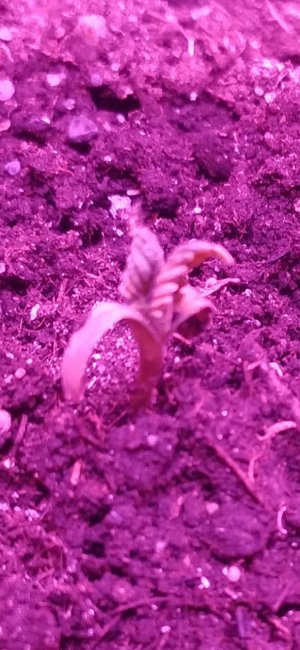 20220615_010527.jpg