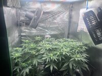 IMG_0325.jpeg