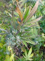 2053.jpg