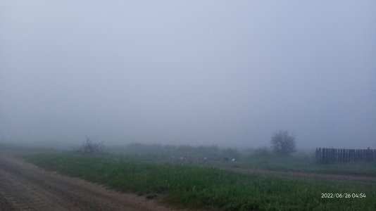 IMG20220626045423.jpg