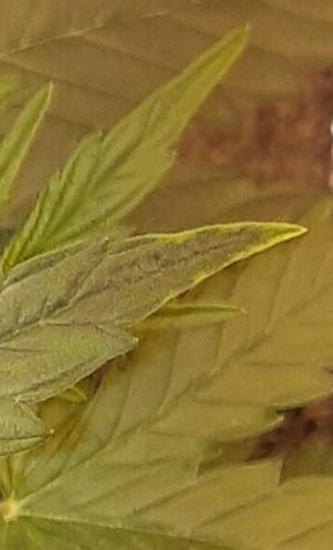 20220711_180303.jpg