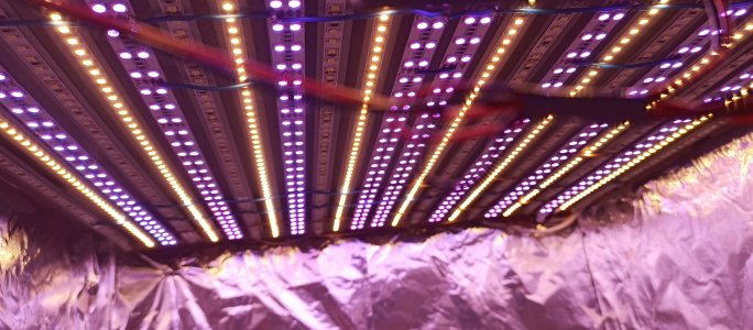 IMG_20220727_205036_355.jpg
