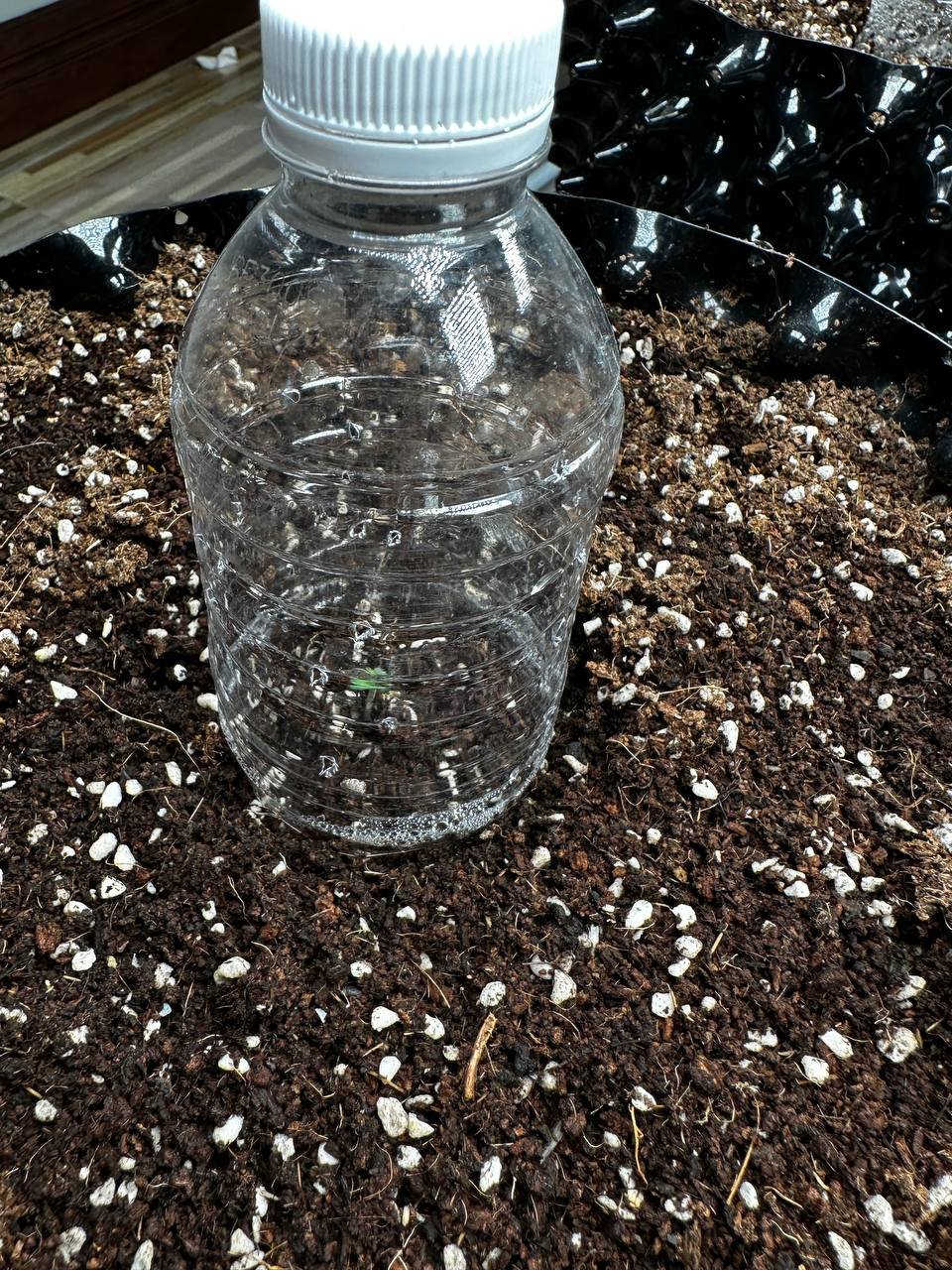 photo_2022-12-08_18-57-26.jpg