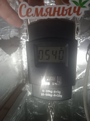 1676921123668..jpg