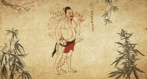 1679769072669.png