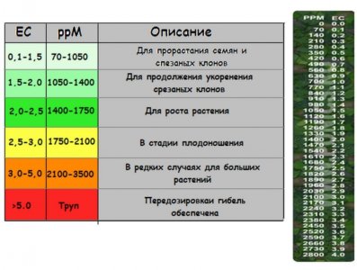 20230424_174639.jpg