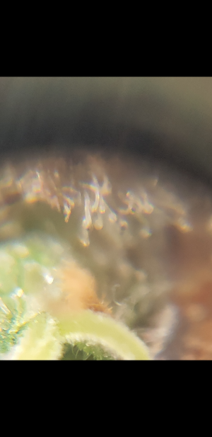 S30701-021049.png