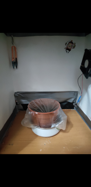 S30716-213405.png