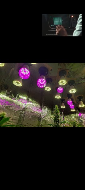 Screenshot_20220115-192656_Gallery.jpg
