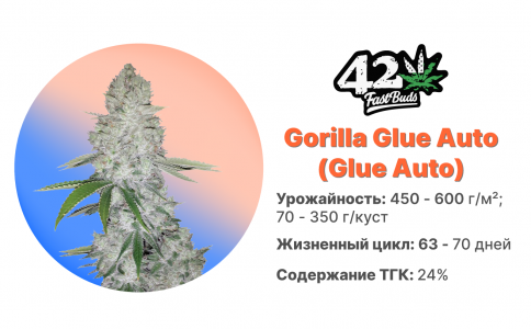 Gorilla Glue Auto