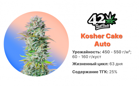 Kosher Cake Auto