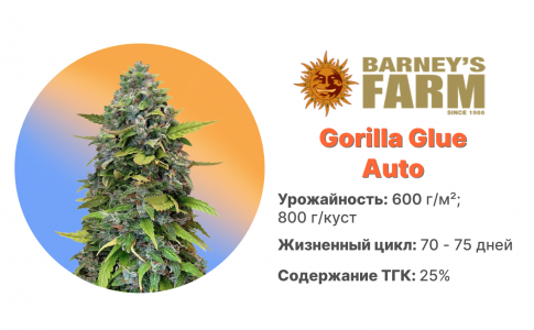 Gorilla Glue Auto Gorilla Glue Auto