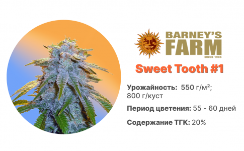 Sweet Tooth #1