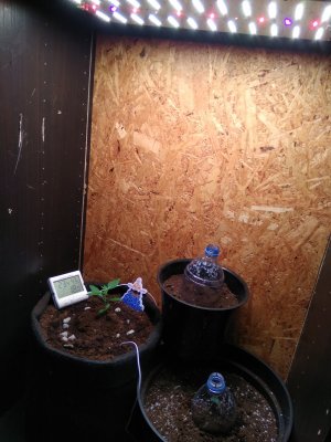 IMG_20240202_185714.jpg