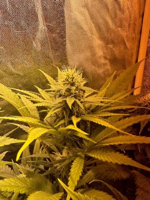 image-06-02-24-16-19-2.jpeg