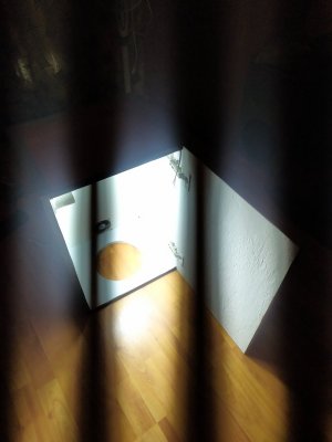 IMG_20240218_180216.jpg
