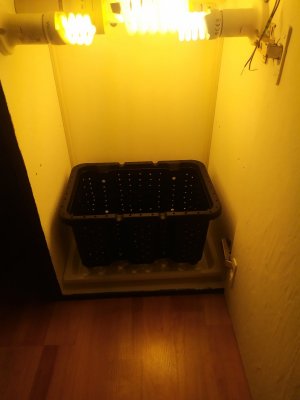 IMG_20240218_181943.jpg