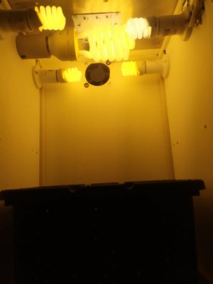 IMG_20240218_181954.jpg