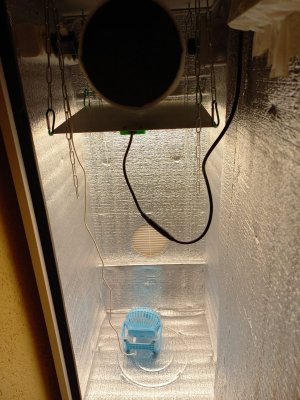 20240312_185020.jpg