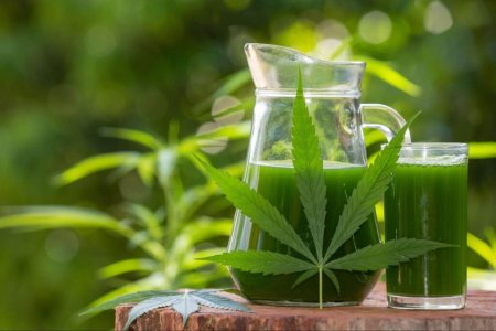 weed-detox-1024x683.jpg weed-detox-1024x683.jpg
